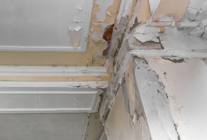 Tenant Damage To Property In Vancouver, WA