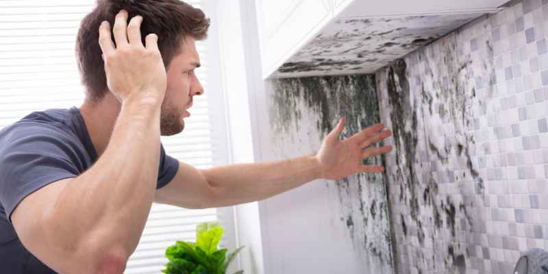 Selling a Moldy House in Washington