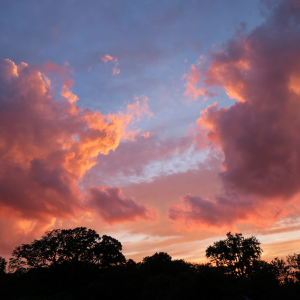 Free Activities Vancouver