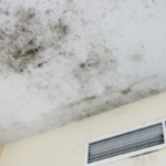 Can You Sell A House with Mold Washington