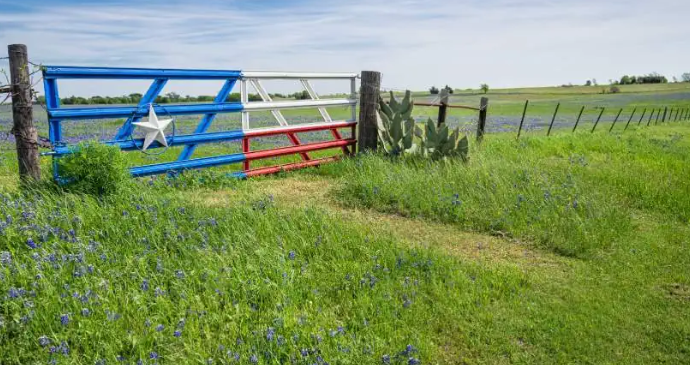 Real estate investors near me in Texas