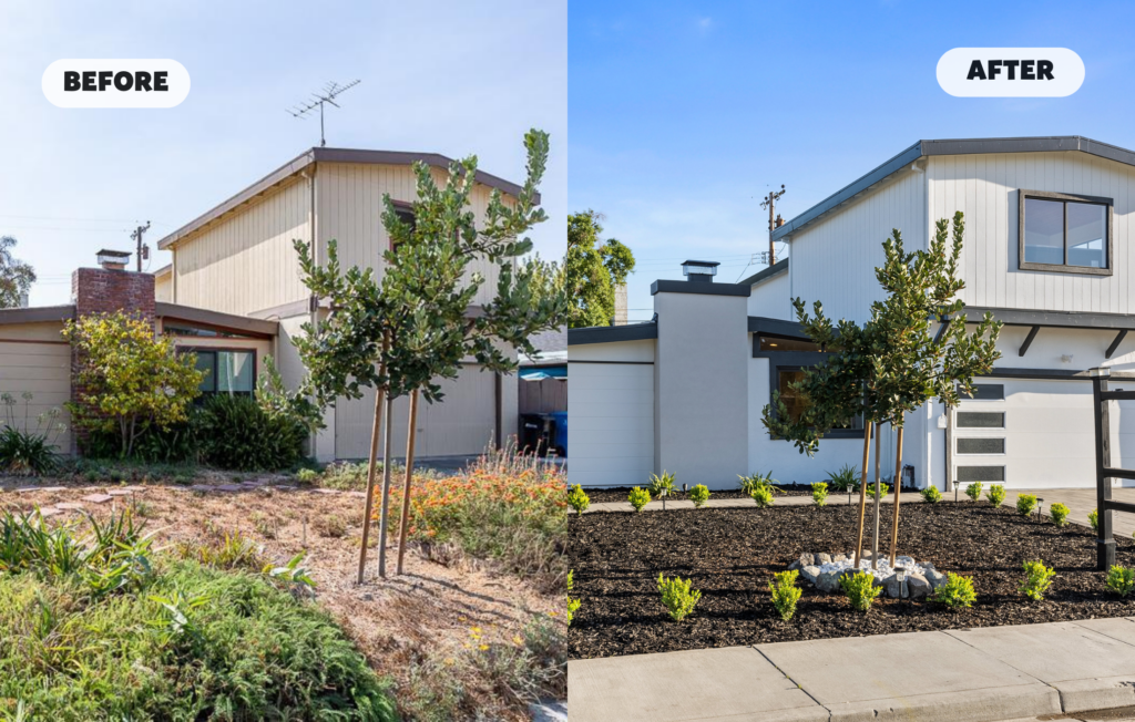 Before After Images 3