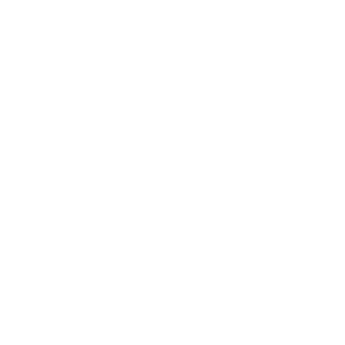 Texas Mobile Home Pros logo