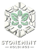 StoneMint Holdings logo