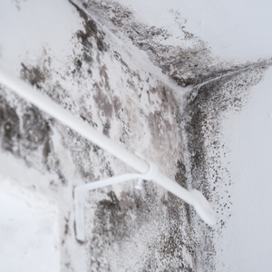 Steps to Selling a House With Water Damage Georgia