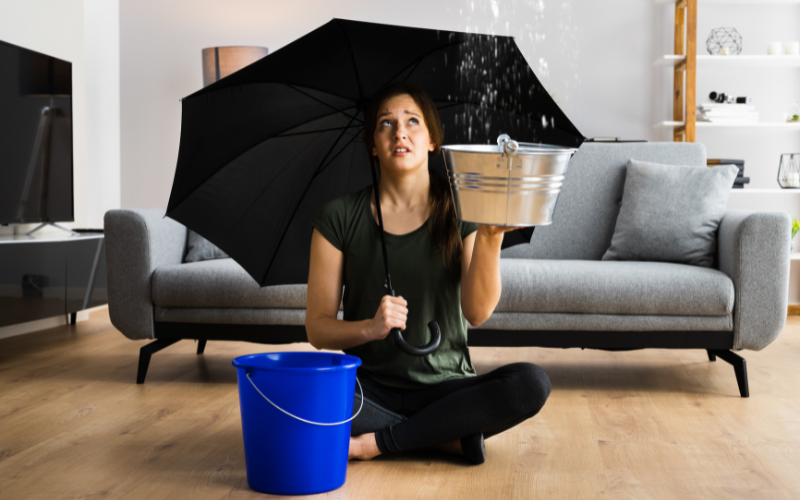 Selling Your House With Water Damage In Springfield