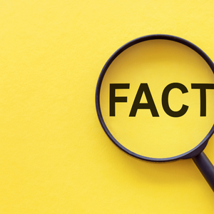 Interesting Facts Springfield