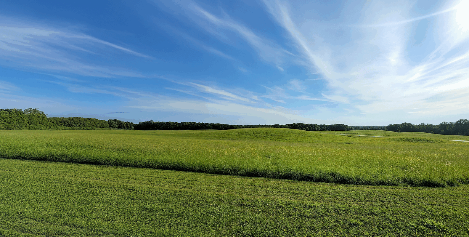 sell land fast Carroll county ga
