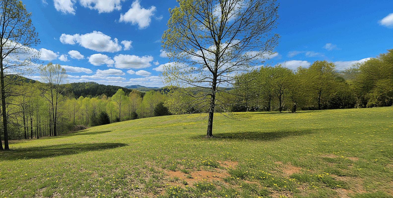 sell land fast Gilmer county ga