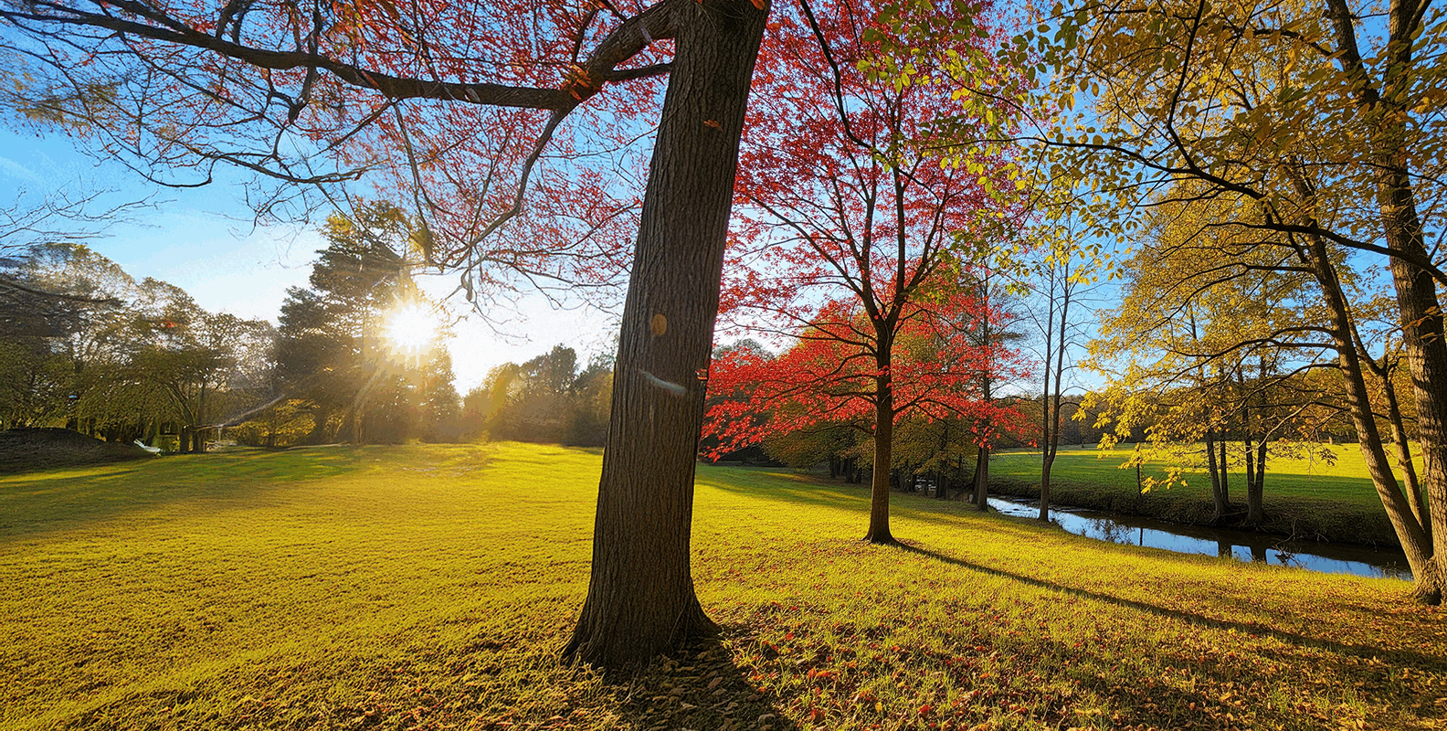 sell land fast Gwinnett county GA