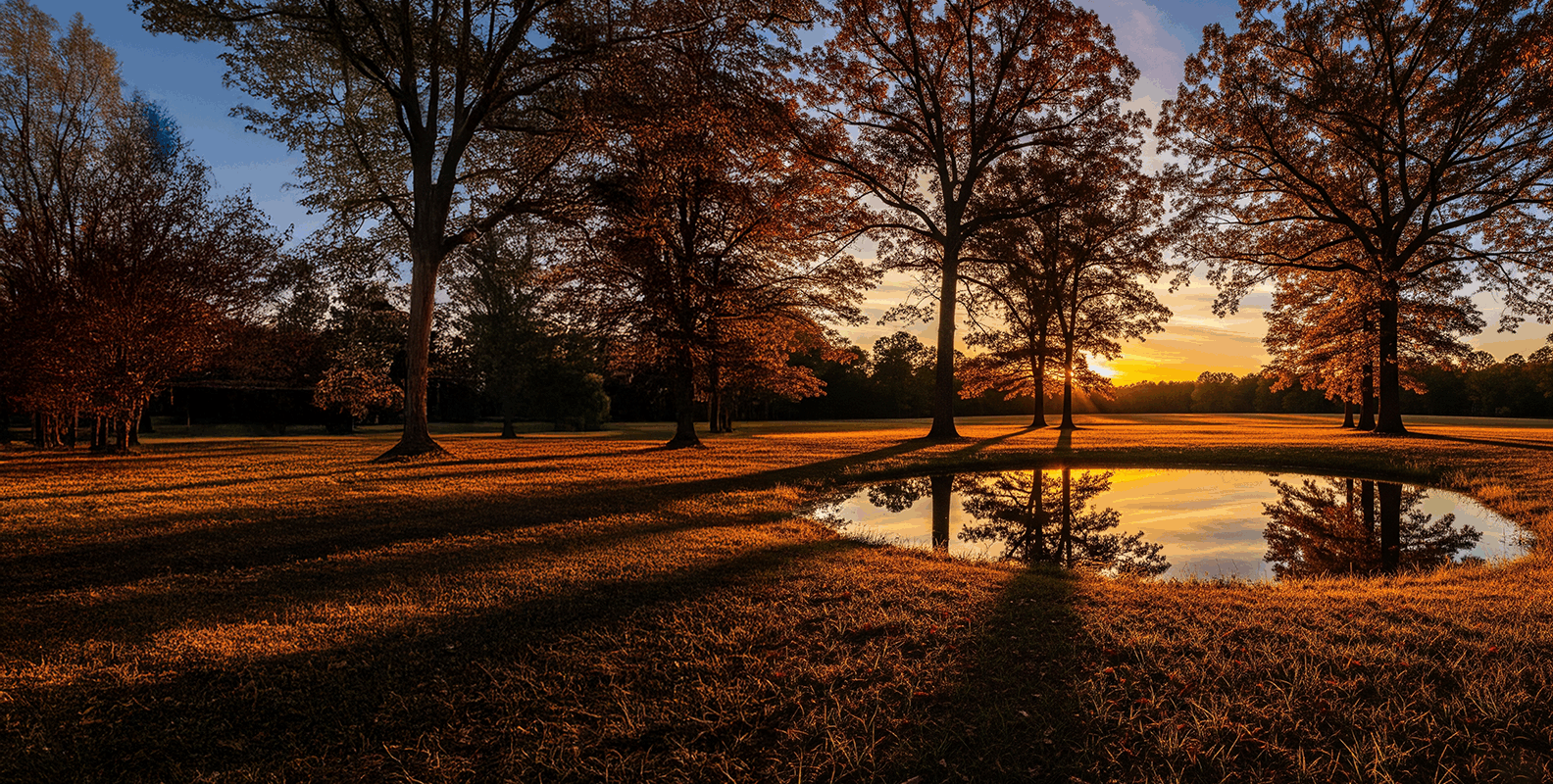 sell land fast Newton county GA