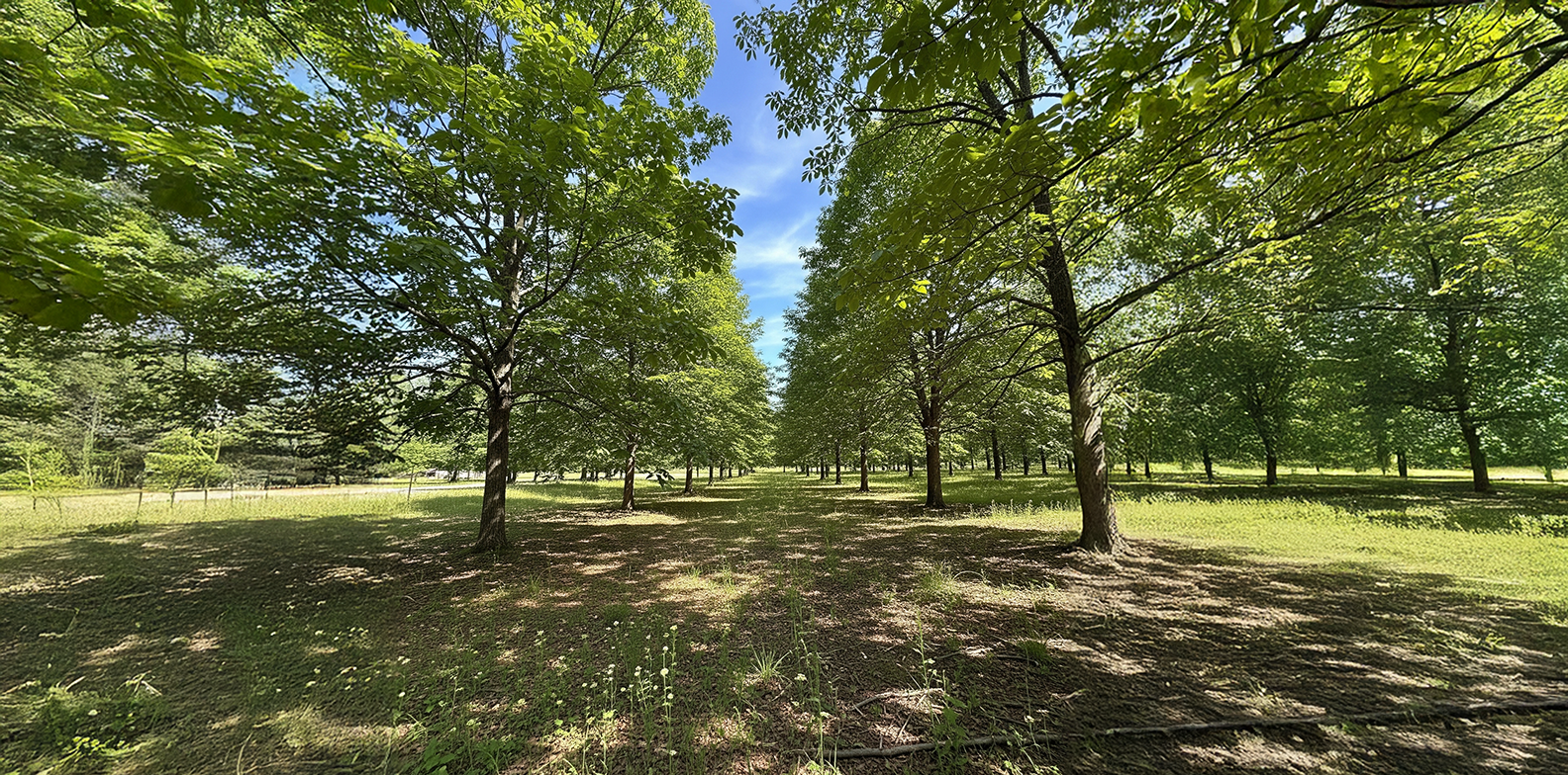 sell land fast Pickens County GA