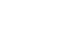 Fox News Icon