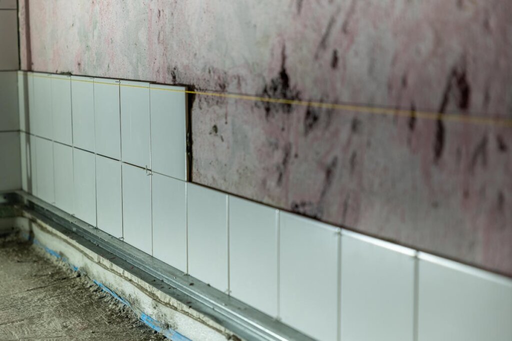 A moldy wall behind some tiles