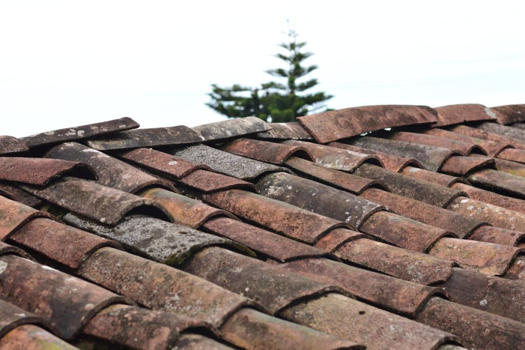 An old clay roof