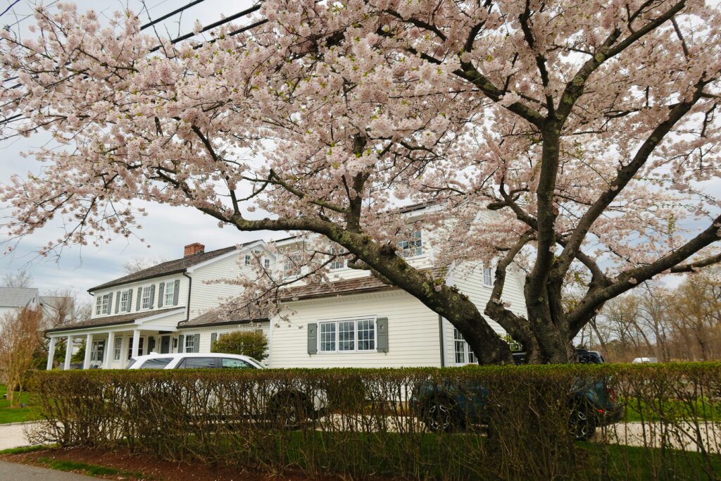 house in Manchester CT