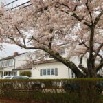 sell my house fairfield ct