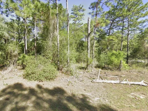 5202 N Allamandra Drive, Beverly Hills, FL 34465