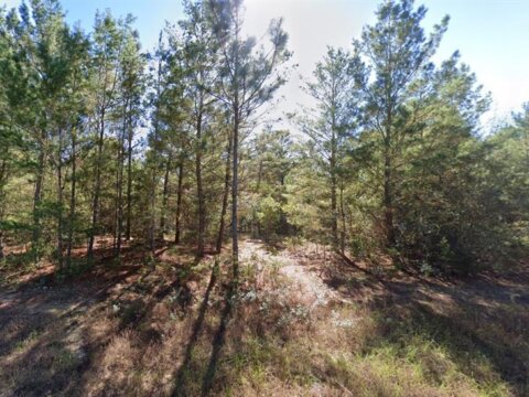 Meredith Place CHIPLEY, FL 32428