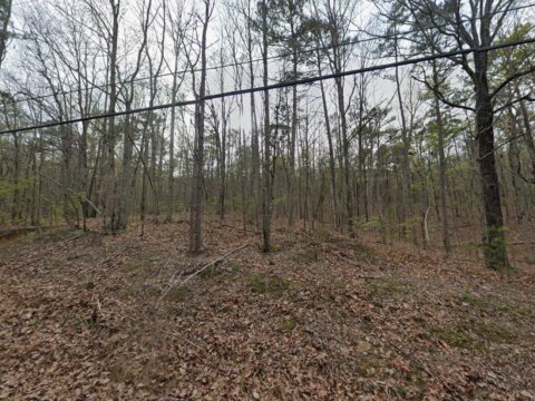 6091 Lakeside Dr, Pinson, AL, 35126