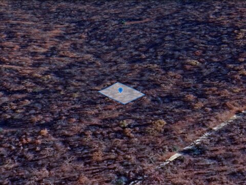 Washabe Ln, Cherokee Village, AR 72529