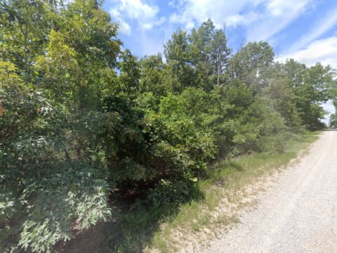 Washabe Ln, Cherokee Village, AR 72529