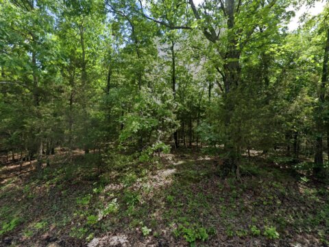 1201 Frontier Cir, Horseshoe Bend, AR, 72512