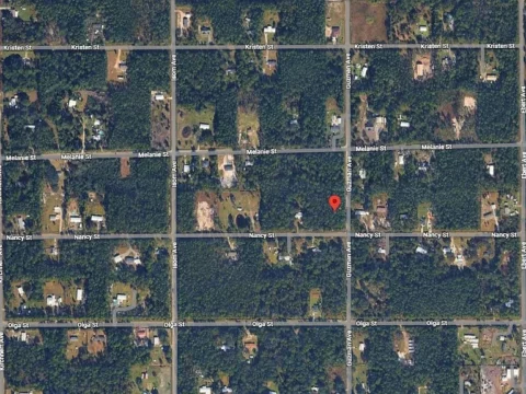 4300 Nancy Street, Hastings, FL 32145