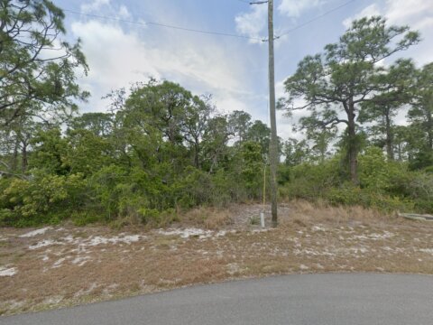 223 E Canal Way NE, Lake Placid, FL 33852