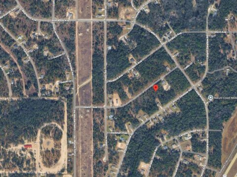 Resort Avenue Weeki Wachee, FL 34614