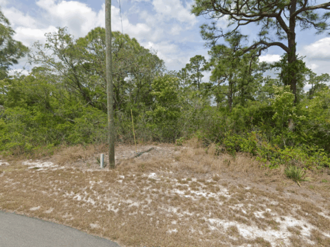 223 E Canal Way NE, Lake Placid, FL 33852