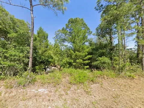 1001 Hummingbird Street, Lake Placid Fl 33852