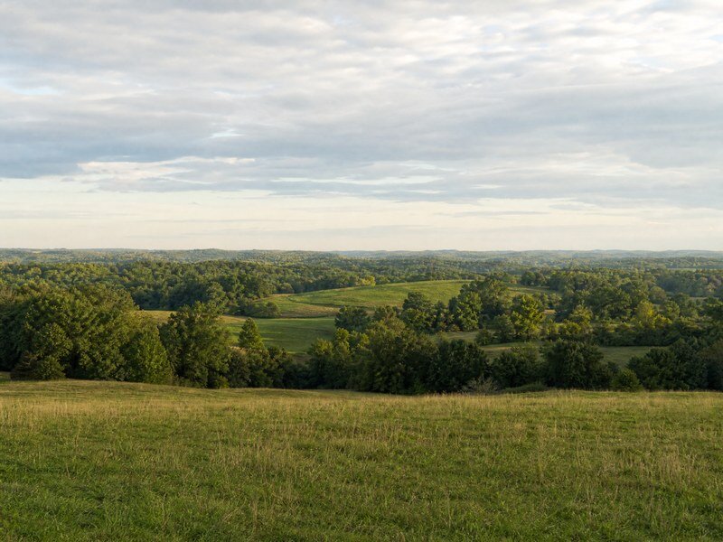 Calm wide rural landscape showing resolution of tax issues.
