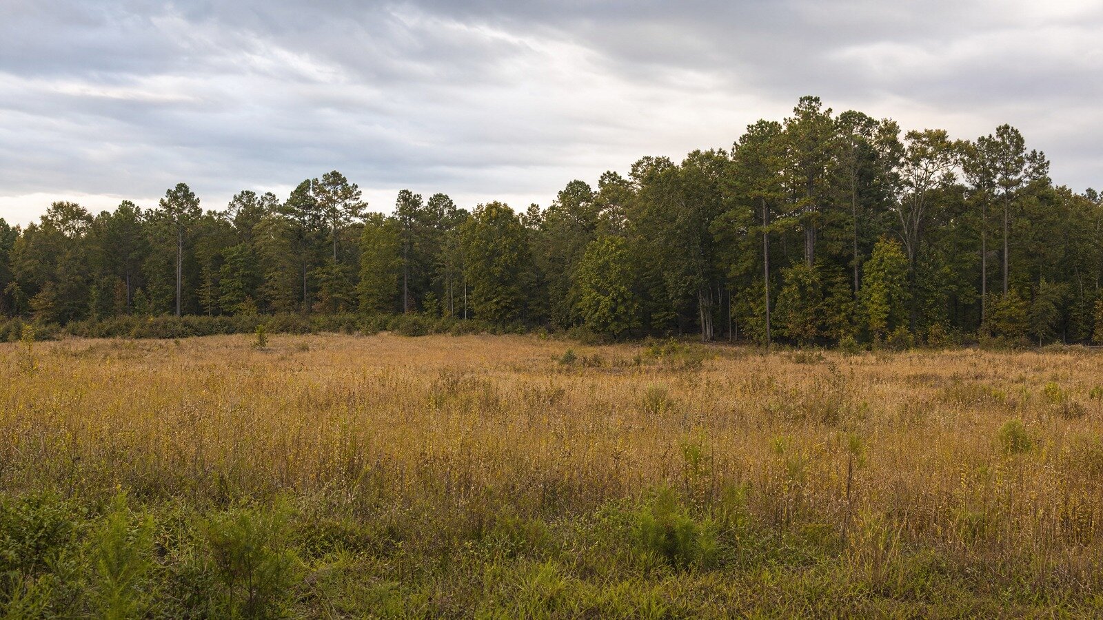 Vacant rural land that a family may have inherited