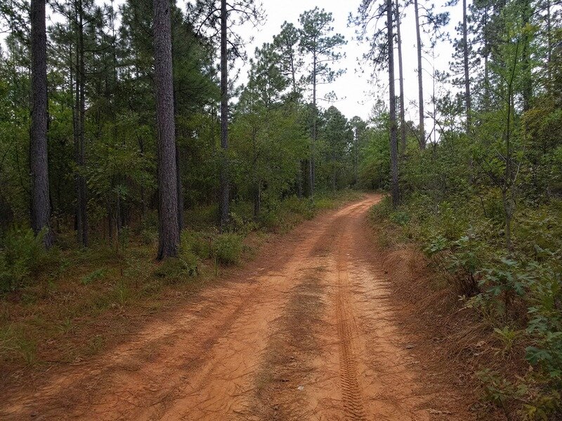 Quiet dirt access road on rural inherited land parcel