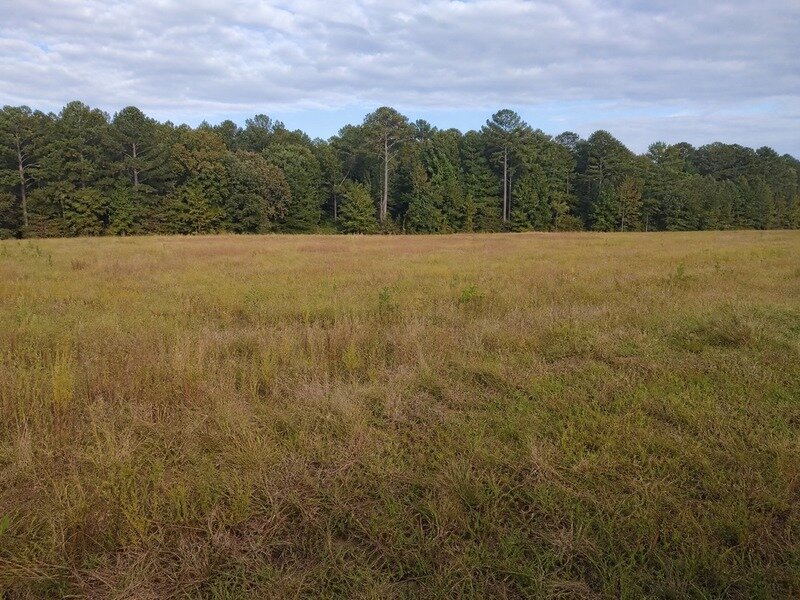 Wide open field on a rural inherited land parcel