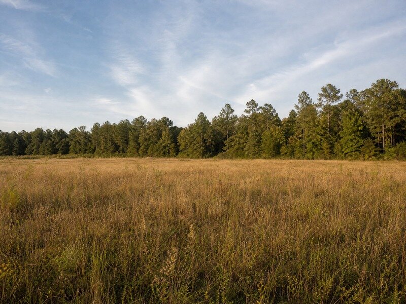 Calm wide rural landscape conveying resolution and peace of mind