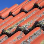 A roofing contractor in Dayton, OH specializes in removing and preventing moss growth on residential roofs.