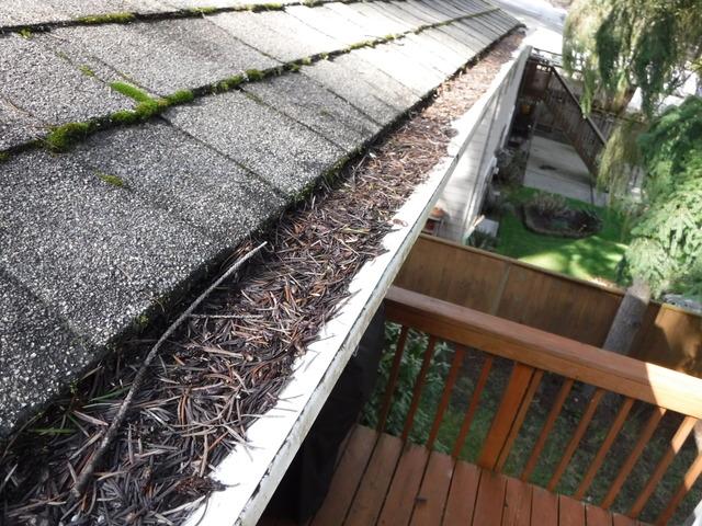 debris on roof- Is your ready to take the grind of winter season?