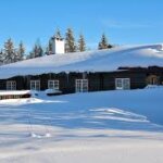 A house with a snow-covered roof in the middle of a forest.