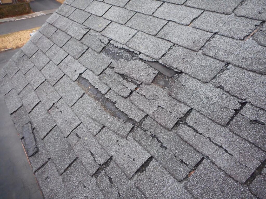 damaged shingles