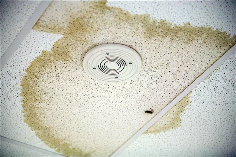 roof leaks
