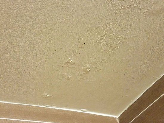 roof with water damage