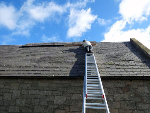 professional roof inspection