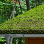 A house with a green roof covered in moss.