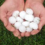 A person's hands inspecting hail balls for potential hail damage.