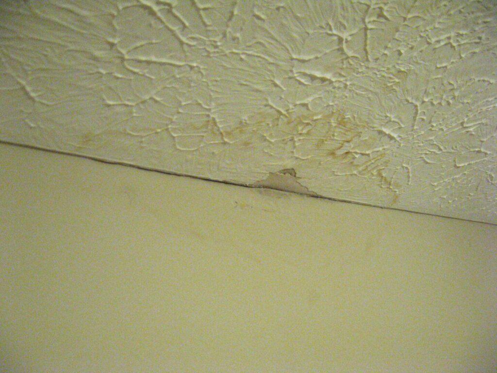 water damage on roof
