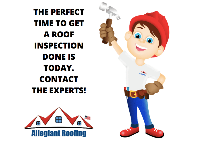Roof Inspection