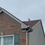 A bird perched on the roof of a house.