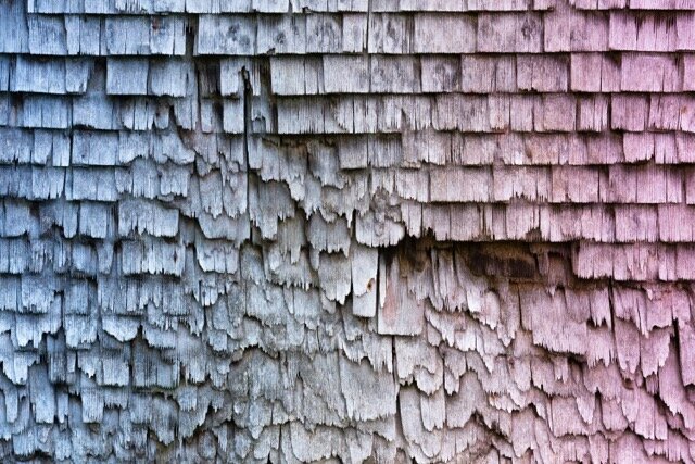 missing shingles on a roof